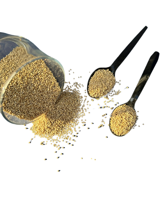 Quinoa Seeds – Healthy Superfood Grain | Masala Ghar /کینوآ کے بیج