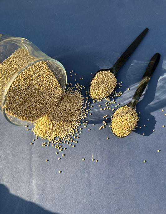 Quinoa Seeds – Healthy Superfood Grain | Masala Ghar /کینوآ کے بیج