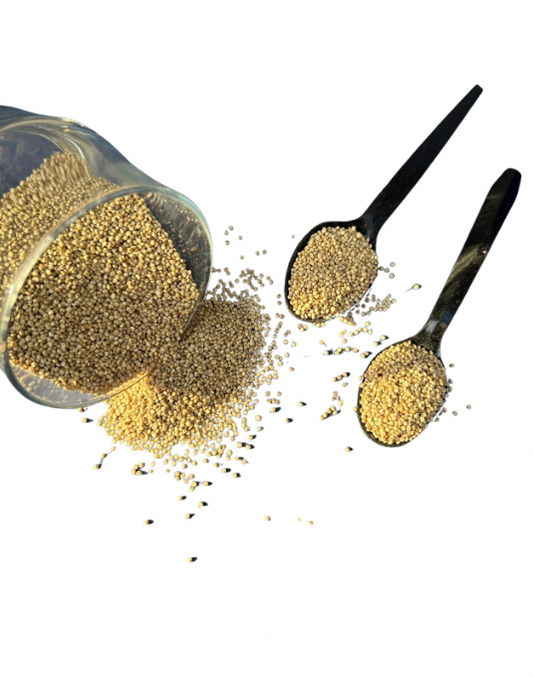 Quinoa Seeds – Healthy Superfood Grain | Masala Ghar /کینوآ کے بیج